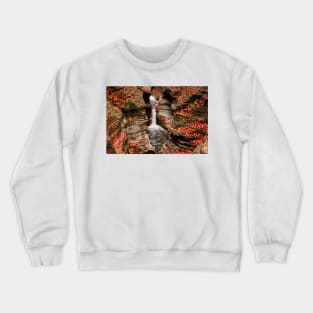 The Fall Colours Of Watkins Glen © Crewneck Sweatshirt